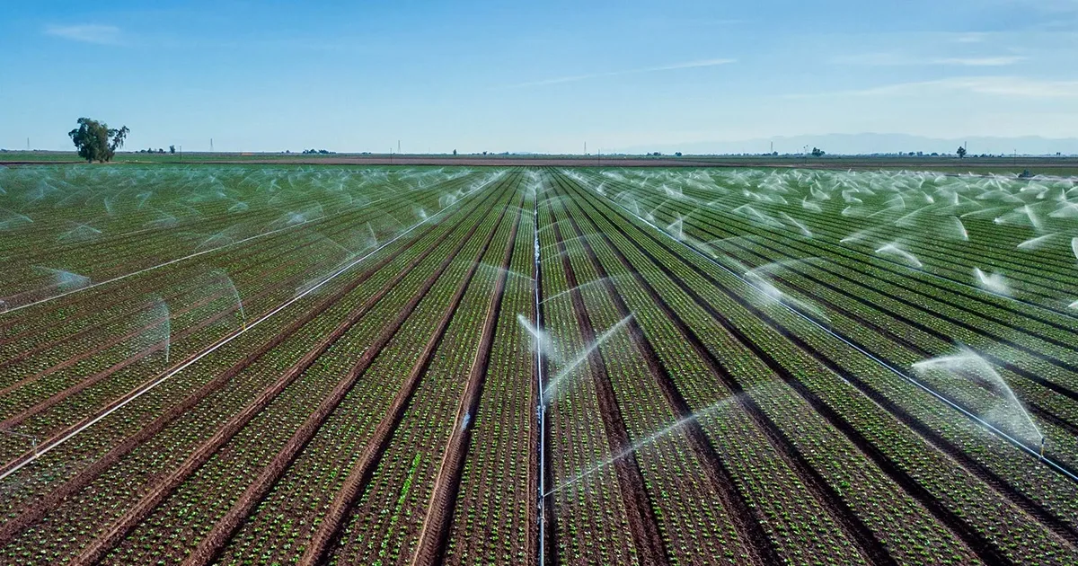 Smart Irrigation: Optimizing Water Use with PCBA-Driven Tech
