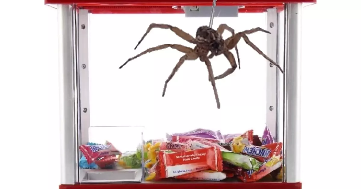 Necrobiotic Synthesizers